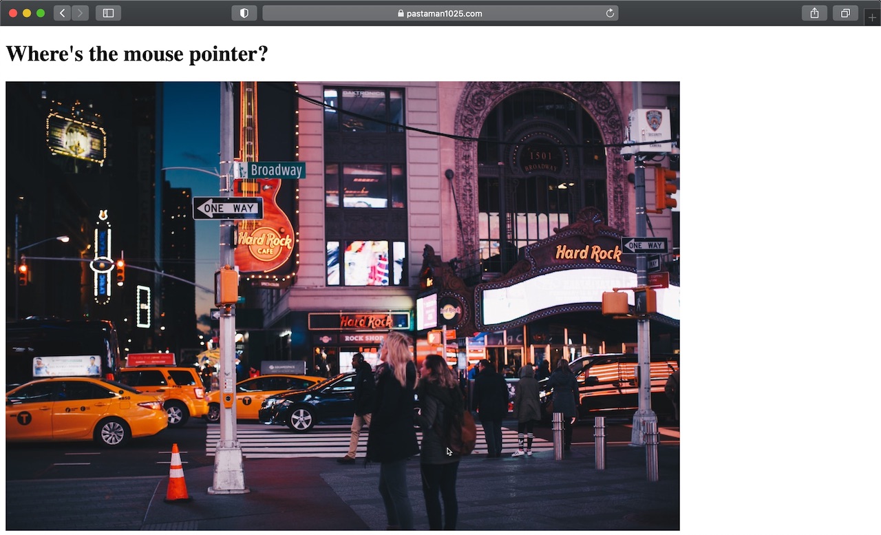Where's the mouse pointer?